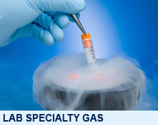 Lab Speciality Gas